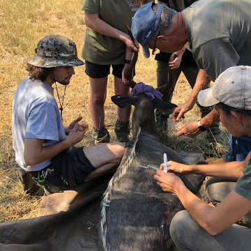 local man helps animals in South Africa